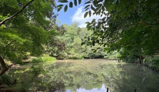 【立田自然公園】熊大裏の広大な公園には何がある？